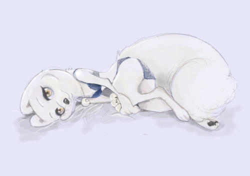 Silky Blue (lingerie)